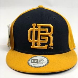 LRG New Era Cap